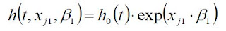 formula for Cox Proportional Hazards model